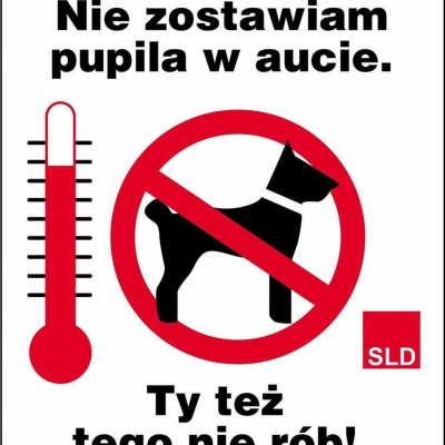 Nie zostawiam dziecka - Pabianice