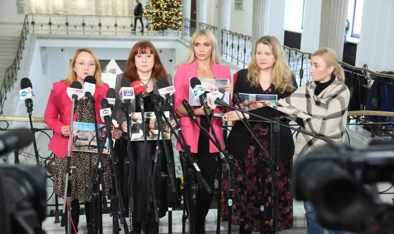 W tle choinki świątecznej, pięć kobiet w formalnych strojach prowadzi konferencję prasową, trzymając zdjęcia i stojąc przed mikrofonami.