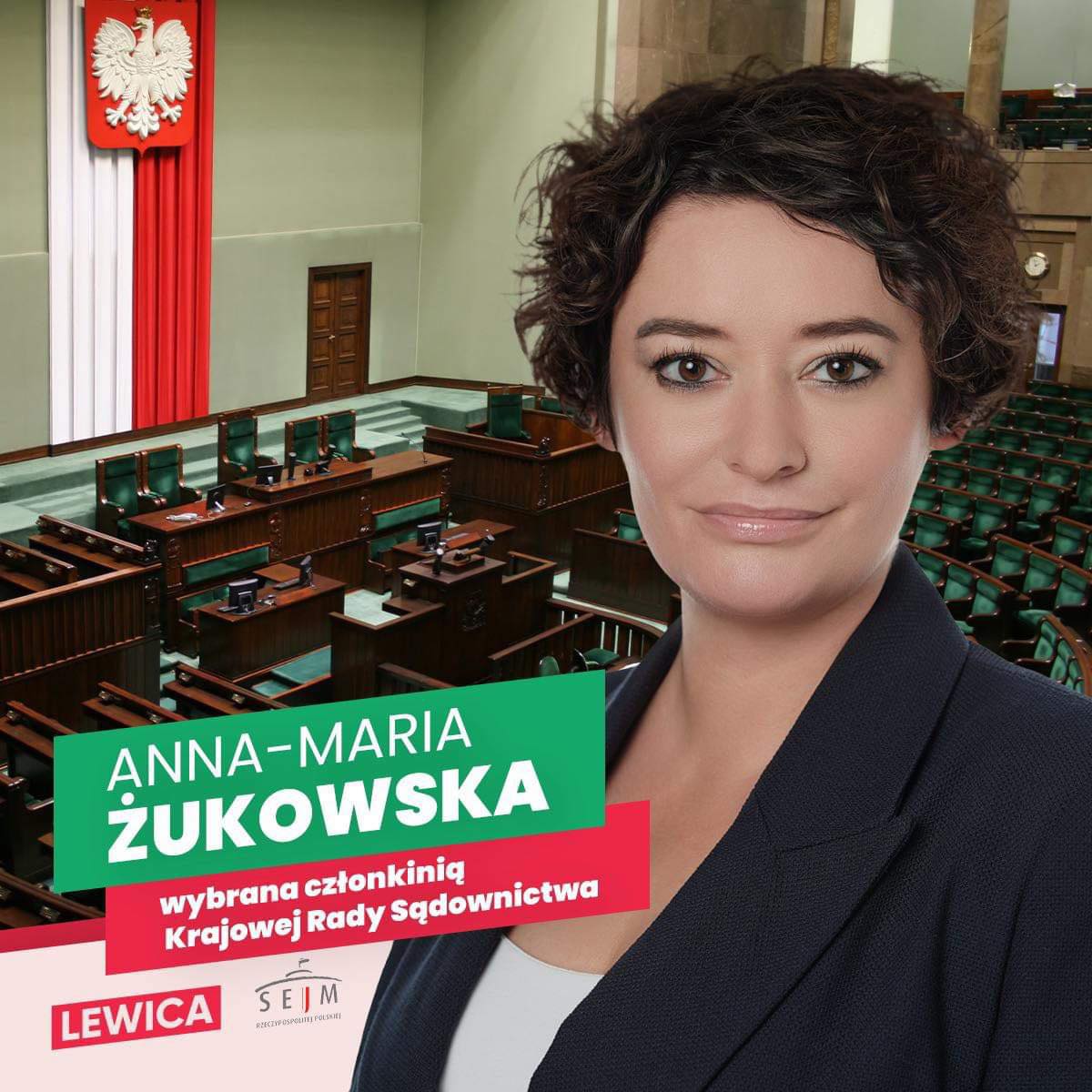 Portret kobiety w garniturze na tle sali plenarnej z godłem Polski.